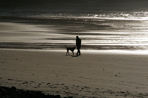 ����������� ������