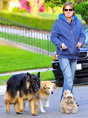 �������� ������������: ������ � �� �������