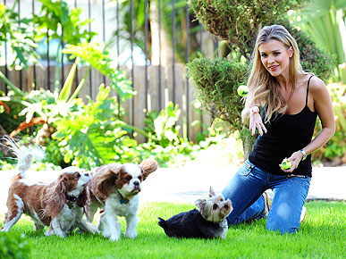 �������� ������������: ������ � �� �������