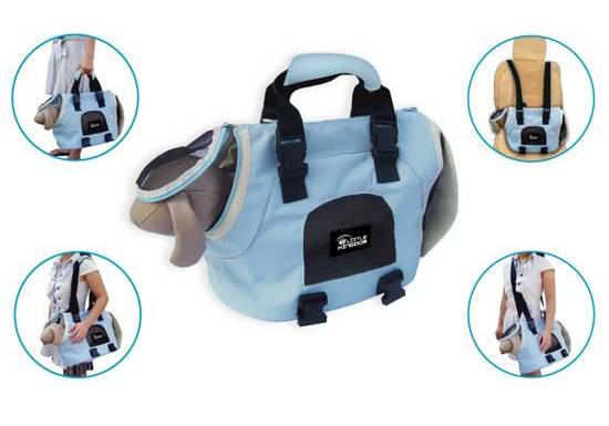 ������������� �����-���������