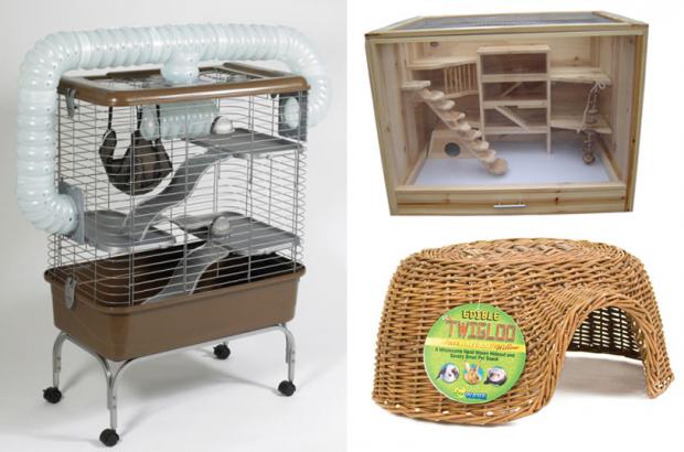 ������ ������ ��� �������� 2009