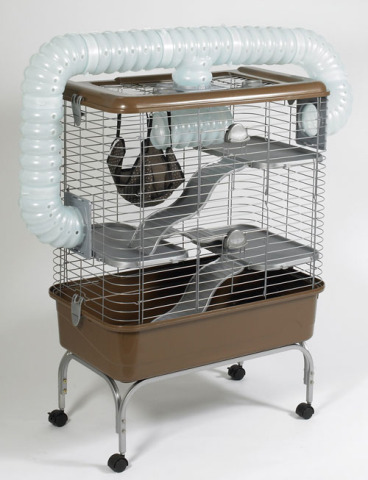 ������ ������ ��� �������� 2009