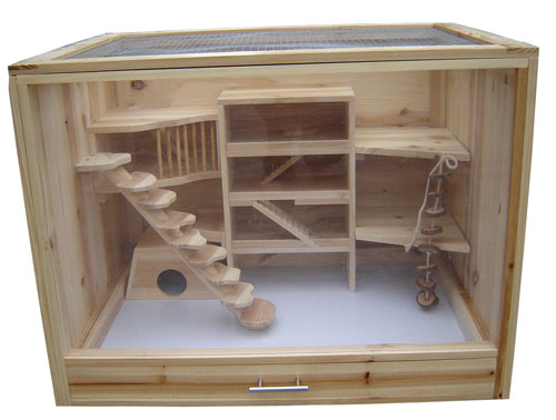 ������ ������ ��� �������� 2009