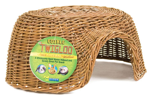 ������ ������ ��� �������� 2009