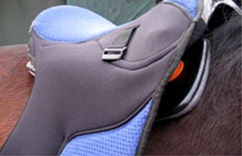 ������������� ����� ��� ������