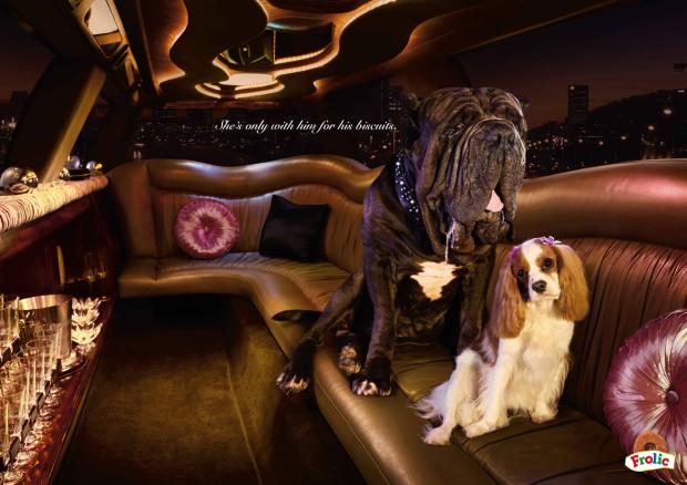 ������������ ������� ������� ��� �����