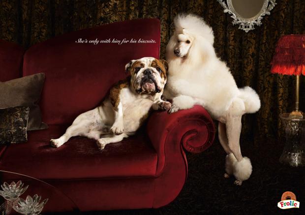 ������������ ������� ������� ��� �����