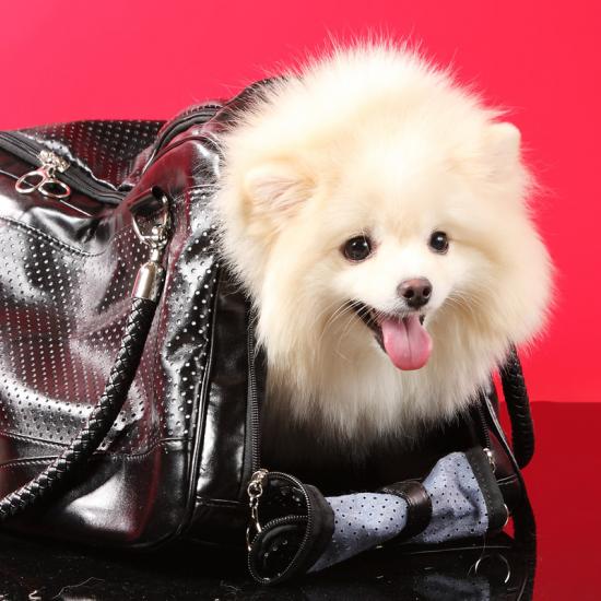 �������� �����-��������� ��� ��������