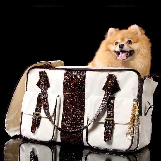 �������� �����-��������� ��� ��������