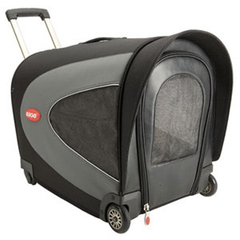 ������� ��� ��������