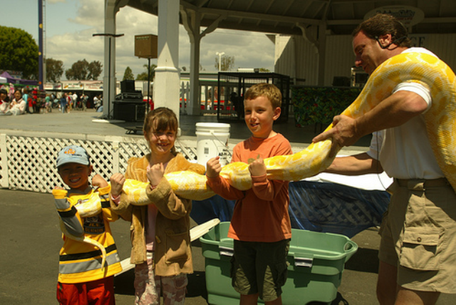 � ������� ������ ��������  America�s Family Pet Expo