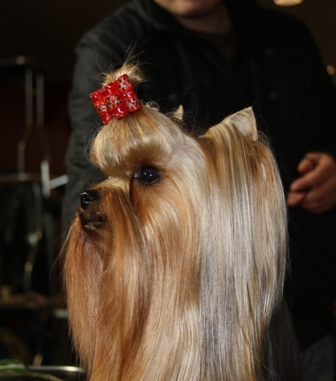 ��� ����� � �������: ������ � ���!