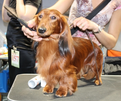 ��� ����� � �������: ������ � ���!