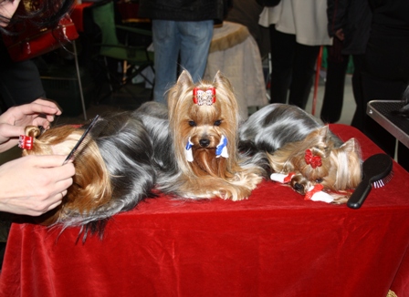 ��� ����� � �������: ������ � ���!