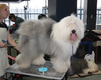 ��� ����� � �������: ������ � ���!