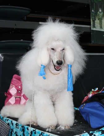 ��� ����� � �������: ������ � ���!