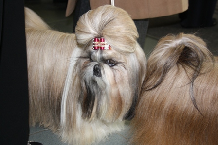 ��� ����� � �������: ������ � ���!