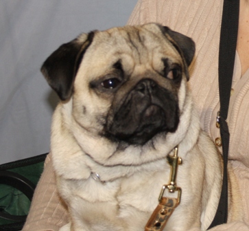 ��� ����� � �������: ������ � ���!