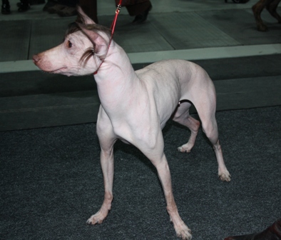 ��� ����� � �������: ������ � ���!