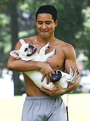 ������ � �� �������. �������� ������