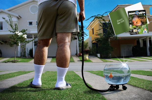 ������� ������� ��� �������������