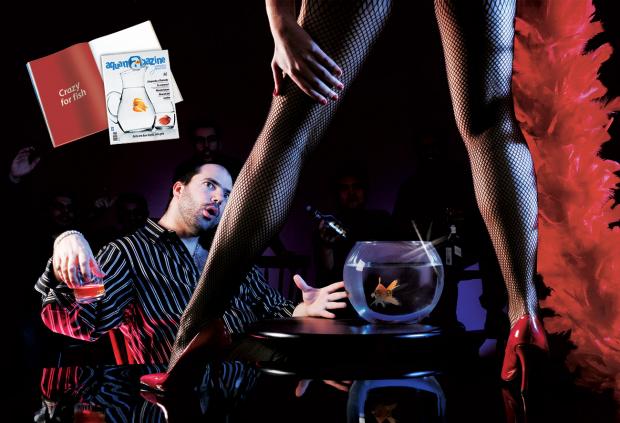 ������� ������� ��� �������������