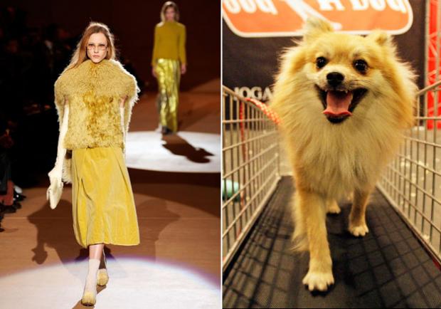 ������ vs ������