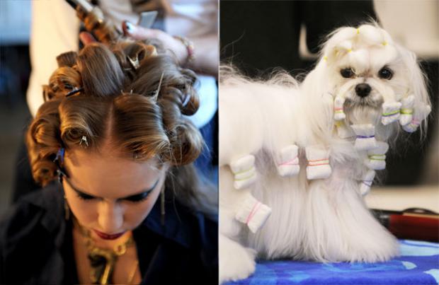 ������ vs ������