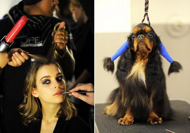 ������ vs ������