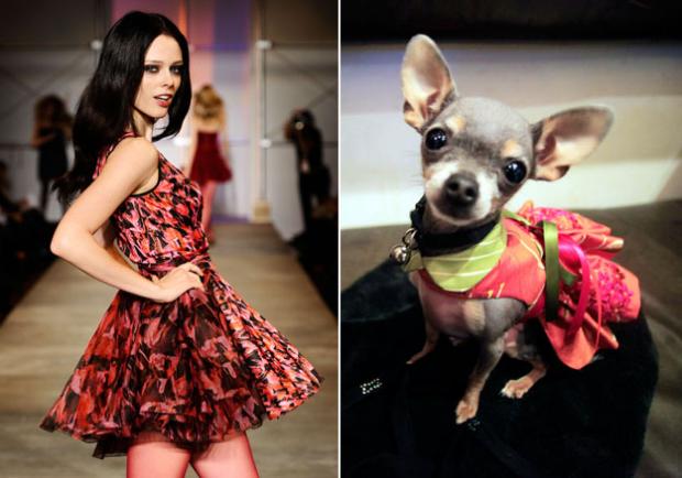 ������ vs ������