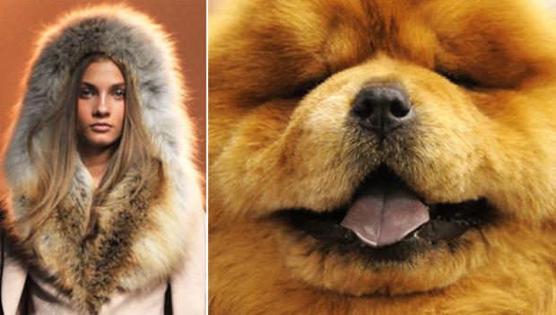 ������ vs ������