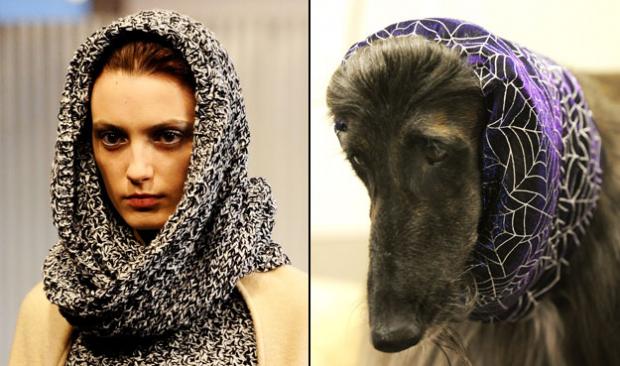 ������ vs ������