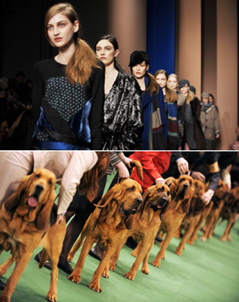 ������ vs ������