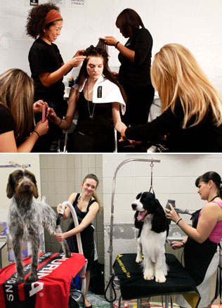 ������ vs ������