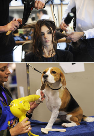 ������ vs ������