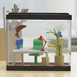 ���� ��� �����