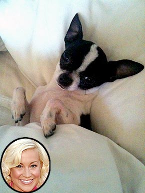 �������� �������. ���������� �� ������ �������������