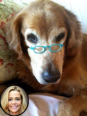 �������� �������. ���������� �� ������ �������������