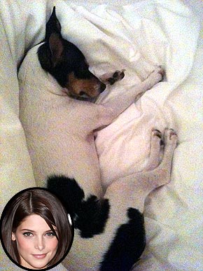 �������� �������. ���������� �� ������ �������������