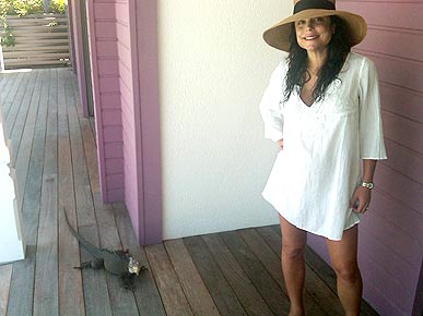 �������� �������. ���������� �� ������ �������������