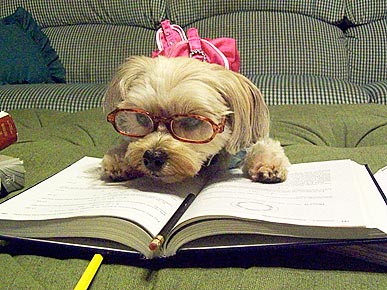 �� � ������!