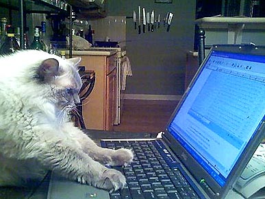 �� � ������!