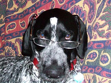 �� � ������!