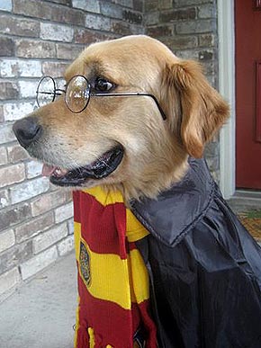 �� � ������!