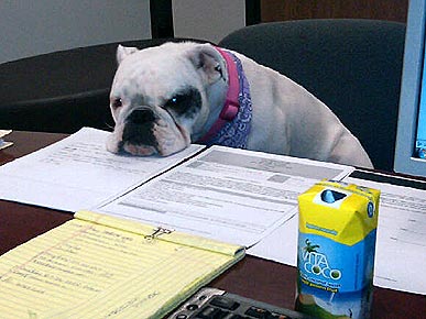 �� � ������!