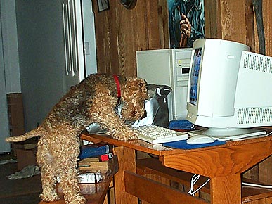 �� � ������!