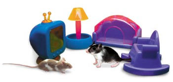 �������� ��� �������