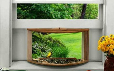 ������������ �������� ��� ����