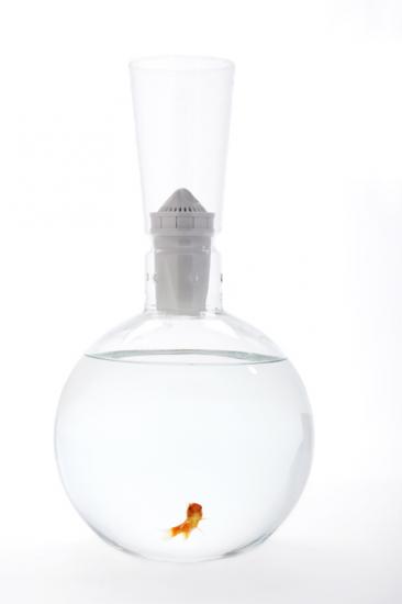 �������� ������������