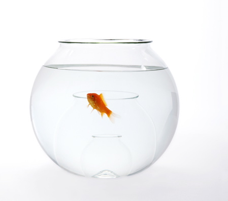 �������� ������������